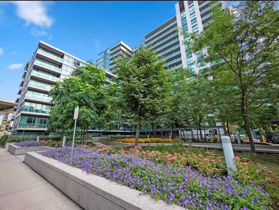 Cn Tower View With Free Parking, Pool, & More Amenities Toronto Exterior foto